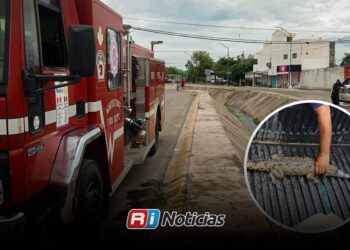 Capturan cocodrilo en canal pluvial del fraccionamiento Santa Fe, en Mazatlán