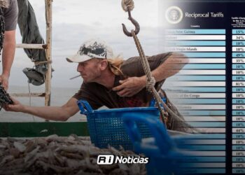 Mercado estadounidense amortigua parte de la crisis del camarón mexicano