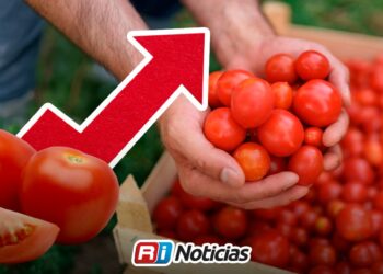 Inflación en México baja a 3.10% anual durante julio de 2026; jitomate registra la mayor caída y transporte aéreo el mayor aumento