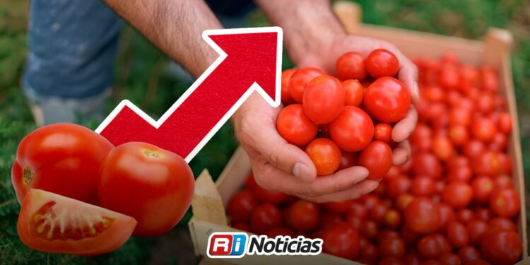 Inflación en México baja a 3.10% anual durante julio de 2026; jitomate registra la mayor caída y transporte aéreo el mayor aumento