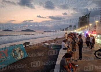 Rescatan a ocho personas del mar en Mazatlán; padre fallece y su hija permanece grave