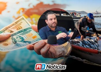 Comercialización internacional fortalece a empresas del sector pesquero