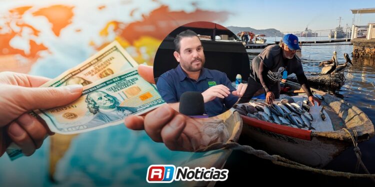 Comercialización internacional fortalece a empresas del sector pesquero