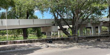 Localizan cuerpo embolsado y en estado de descomposición en el Malecón Viejo de Culiacán