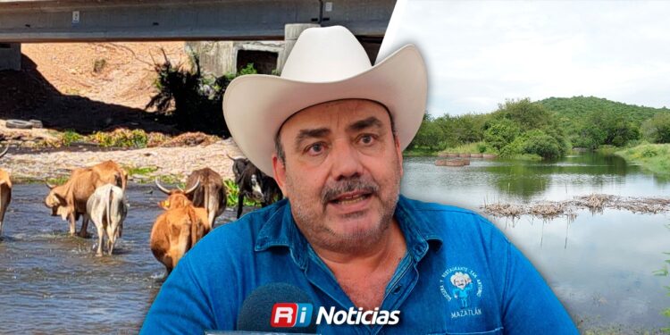 Lluvias permiten a ganaderos dejar atrás el acarreo de agua en la zona rural