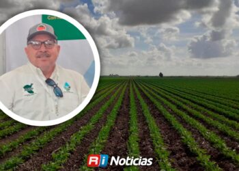 Lluvias mejoran las expectativas para el próximo ciclo agrícola en Sinaloa