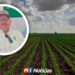 Lluvias mejoran las expectativas para el próximo ciclo agrícola en Sinaloa