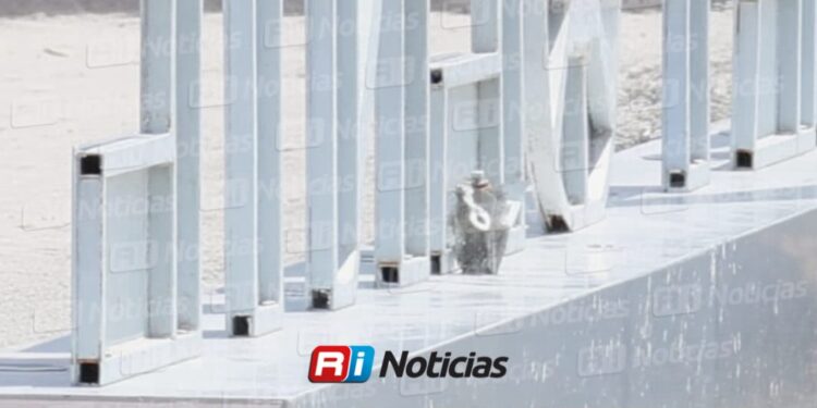 Presencia de artefacto explosivo moviliza a fuerzas federales en El Puente de El Quelite, al norte de Mazatlán