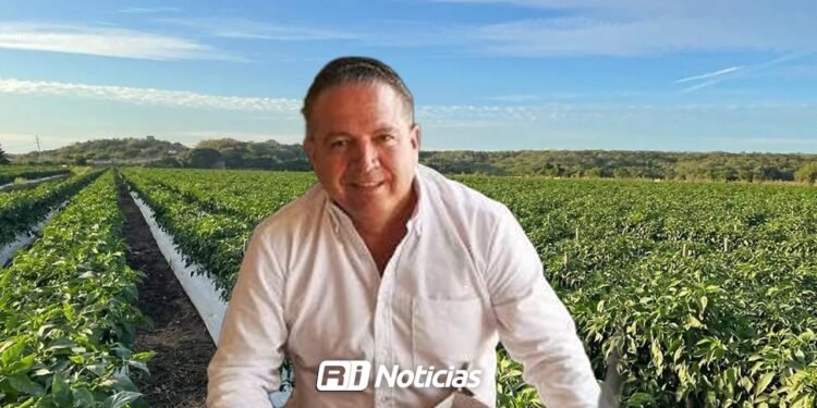 Campo sinaloense mantiene esperanza pese al impacto que vive la economía