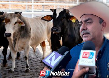 Buscan que más productores sacrifiquen ganado en el Rastro TIF para proteger la salud