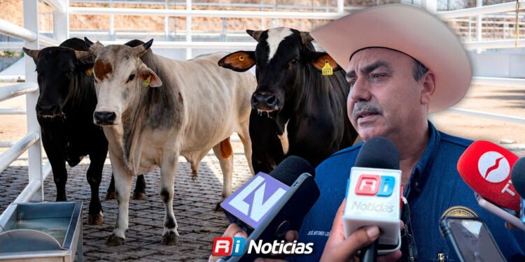 Buscan que más productores sacrifiquen ganado en el Rastro TIF para proteger la salud
