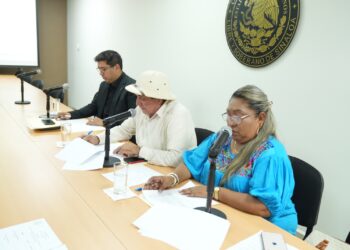 Comisión de Salud aprueba dictamen para fortalecer la Ley de Salud Mental del Estado de Sinaloa