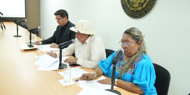 Comisión de Salud aprueba dictamen para fortalecer la Ley de Salud Mental del Estado de Sinaloa