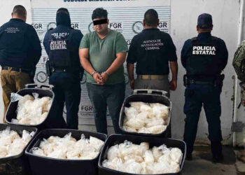 Interceptan cargamento de 200 kilos de metanfetamina oculto en camión de paquetería en Sonora