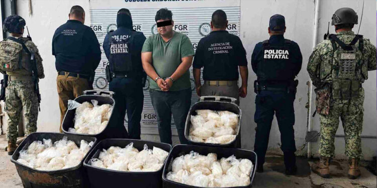 Interceptan cargamento de 200 kilos de metanfetamina oculto en camión de paquetería en Sonora