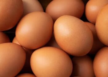 Productores de huevo enfrentan crisis por exceso de oferta y caída de precios