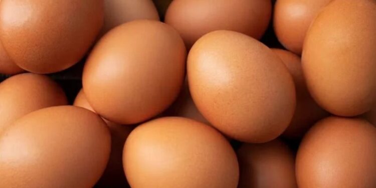 Productores de huevo enfrentan crisis por exceso de oferta y caída de precios