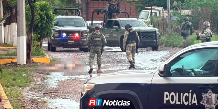 Localizan asesinada a mujer policía privada de la libertad en Culiacán