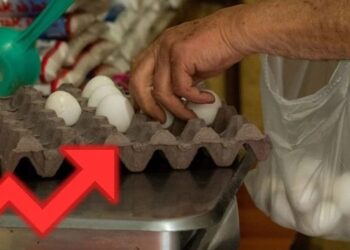 Inflación repunta en agosto y alcanza 3.26% en la primera quincena: LISTA de productos que subieron de PRECIO