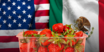 Estados Unidos acusa a exportadores mexicanos de dumping en fresa invernal