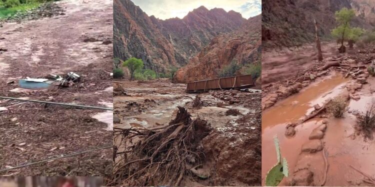 El Gran Cañón en emergencia: Localizan dos sin vida y buscan a 15 desaparecidos tras inundación