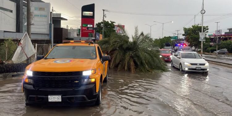 “Estamos en fase de auxilio”: PC realiza rescates durante lluvias vespertinas en Culiacán