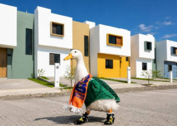 Pato Merlín estrena casa tras conquistar las redes y abrir nuevas oportunidades para su familia