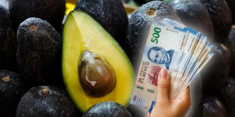 ¿Subirá el precio del aguacate en México? Esto puede pasar tras la suspensión de exportaciones a Estados Unidos