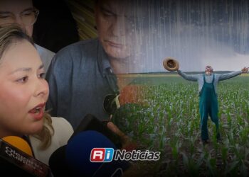 Lluvias benefician campo y mejoran expectativas agrícolas de Sinaloa: Gobernadora