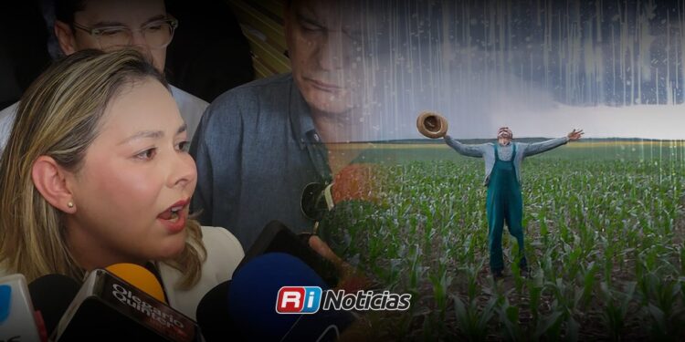 Lluvias benefician campo y mejoran expectativas agrícolas de Sinaloa: Gobernadora