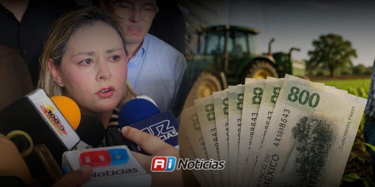 Gobierno de Sinaloa niega pago anual de 7 millones por las Semaneras