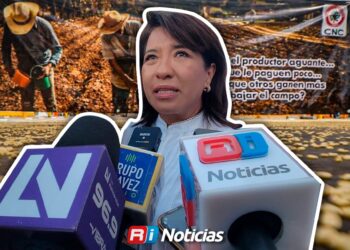 No habrá adeudos a productores de Sinaloa después del 30 de agosto: SADER