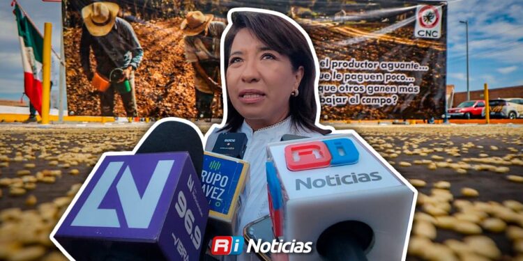 No habrá adeudos a productores de Sinaloa después del 30 de agosto: SADER