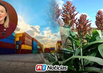 “Sinaloa abre camino para exportar sorgo a China”, Yeraldine Bonilla