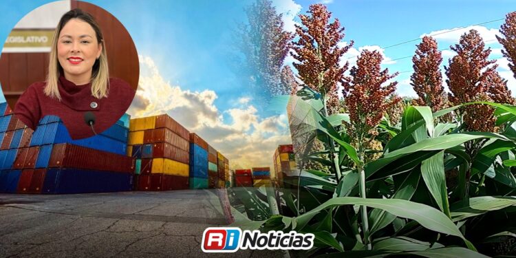 “Sinaloa abre camino para exportar sorgo a China”, Yeraldine Bonilla