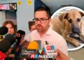 Alerta sanitaria por gusano barrenador detectado en un perro en Culiacán