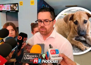Alerta sanitaria por gusano barrenador detectado en un perro en Culiacán