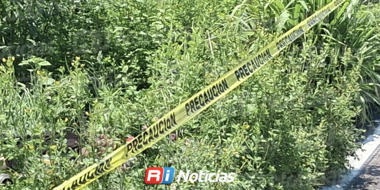 Motociclista muere tras accidente en carretera Los Pozos-El Caimanero, en Rosario