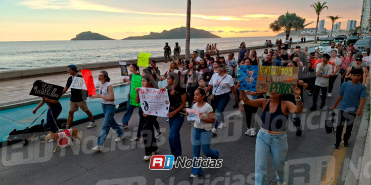 Protestan en Mazatlán contra presunto caso de maltrato y abuso animal