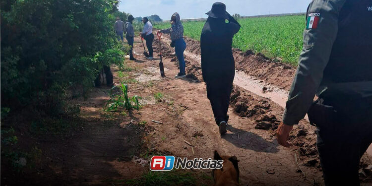 Localizan restos humanos durante búsqueda de desaparecidos en Navolato
