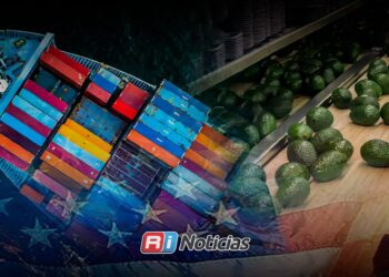 México aumenta 35% sus exportaciones de aguacate a EU y supera las 501 mil toneladas en 2026