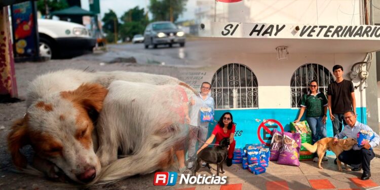 Denuncian falta de aplicación de leyes contra el maltrato animal