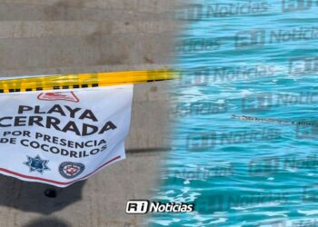 Mazatlán mantiene playas cerradas: Caimán sigue libre tras 24 horas de operativo