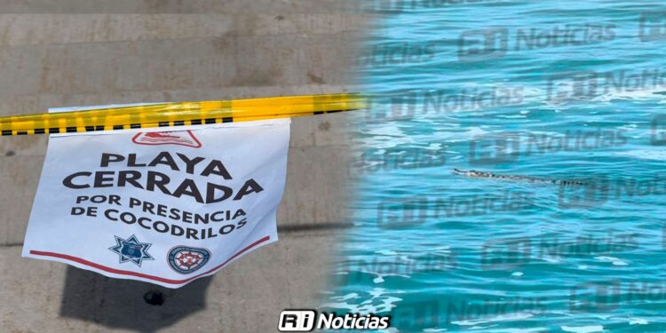 Mazatlán mantiene playas cerradas: Caimán sigue libre tras 24 horas de operativo