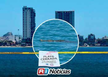 Restringen playas de Mazatlán por avistamiento de cocodrilo cerca de El Cid
