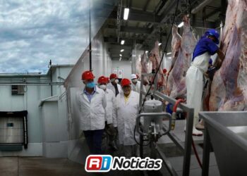 COEPRISS mantiene suspensión en el área de porcinos del rastro de Escuinapa por falta de higiene