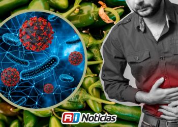 Desconoce COEPRISS avance en revisión de chiles por presunta salmonelosis en Escuinapa