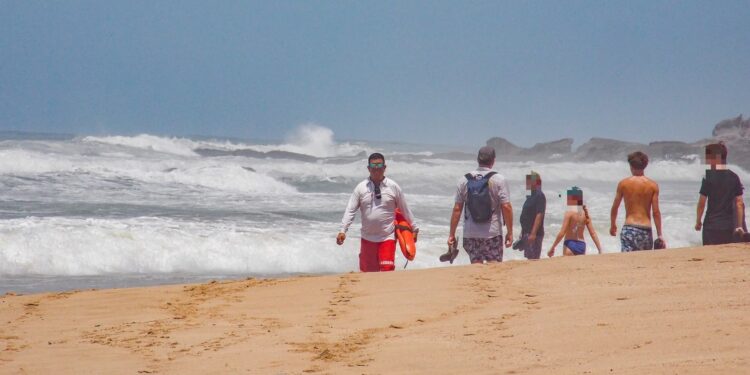 Detienen a hombre por “desafiar” restricción en playas de Mazatlán por presencia de cocodrilo