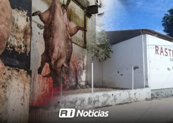 COEPRISS mantiene suspensión en el área de porcinos del rastro de Escuinapa por falta de higiene