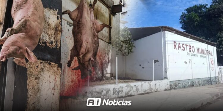COEPRISS mantiene suspensión en el área de porcinos del rastro de Escuinapa por falta de higiene